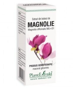 Extract din boboci de magnolia