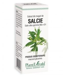 Extract din muguri de Salcie