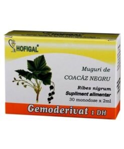 HOFIGAL Gemoderivat Muguri de coacaz negru
