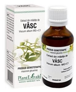 PLE Extract din mladite de vasc