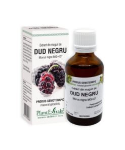 Extract din muguri de DUD NEGRU