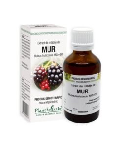 Extract din mladite de MUR
