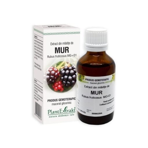 Extract din mladite de MUR