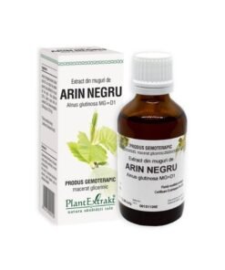 Plant Extrakt Muguri de arin negru