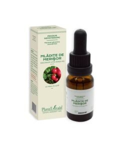 Extract Concentrat din mladite de MERISOR