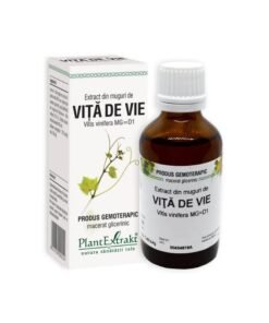 Extract din muguri de VITA DE VIE