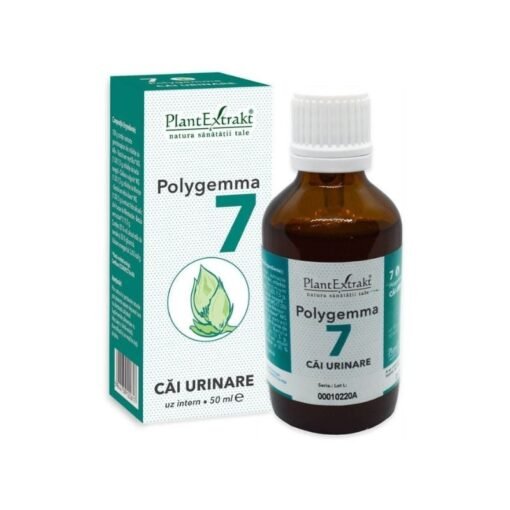 POLYGEMMA nr. 7 Cai urinare