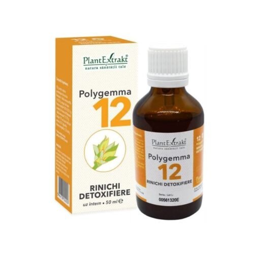 POLYGEMMA nr.12 Rinichi