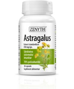 Astragalus