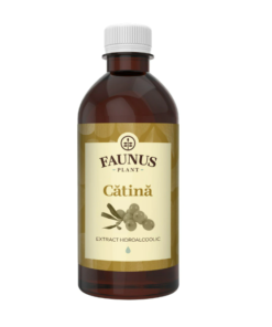 Tinctura de Catina pentru imunitate