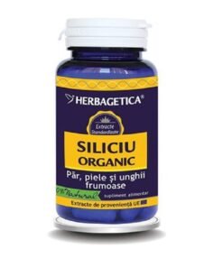 Siliciu organic