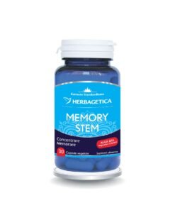 Memory Stem