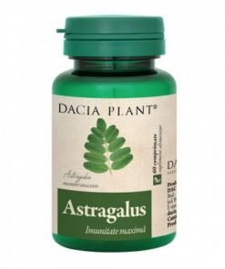 Dacia Plant Astragalus