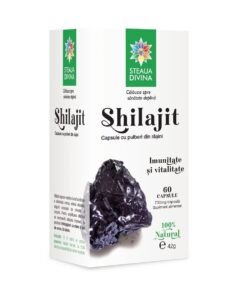 Shilajit 700mg