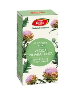Vezica biliara lenta