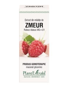Extract din mladite de zmeur