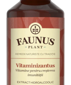 Tinctura pentru imunitate Vitaminizantus