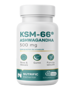 Ashwagandha KSM66 500mg