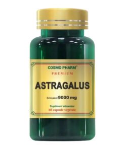 Astragalus Extract 450mg