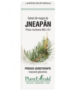 Extract din muguri de jneapan