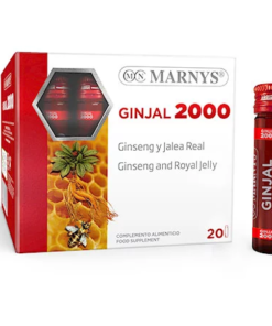Ginjal 2000