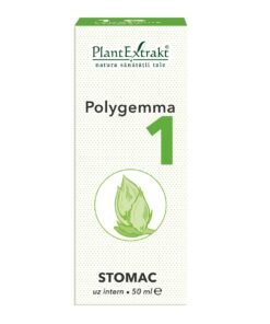 Polygemma 1 Stomac