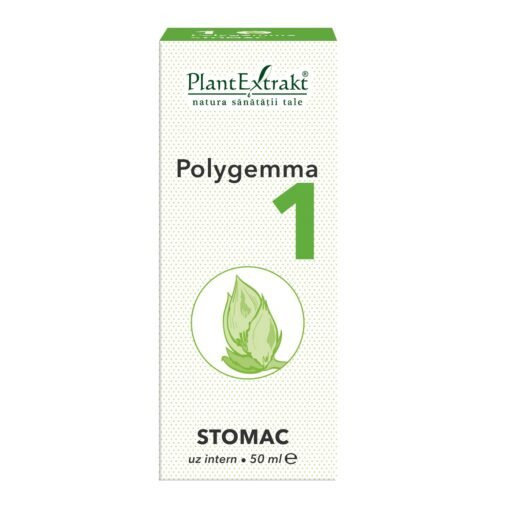 Polygemma 1 Stomac