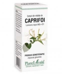 Extract din mladite de caprifoi