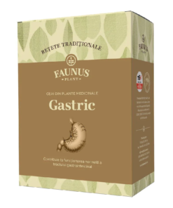 Ceai Retete Traditionale Gastric