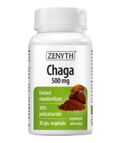 Chaga