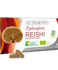 Reishi