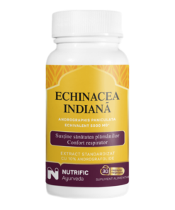 Echinacea indiana