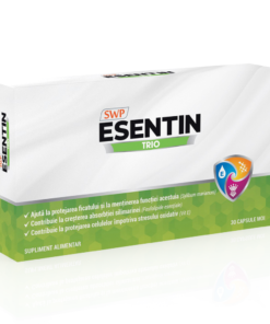 Esentin Trio
