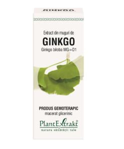 Extract din muguri de Ginkgo Biloba