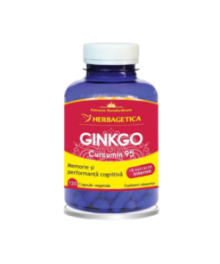 Gingko Curcumin95