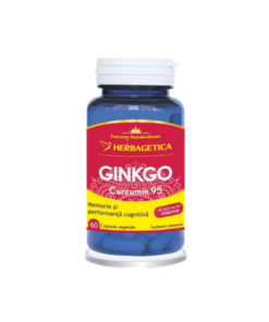 Ginkgo Curcumin95