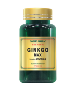 Ginkgo Max 6000mg