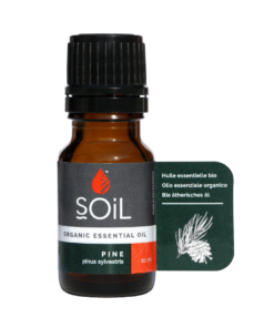 Ulei Esential Pin (Pinus sylvestris) 100% Organic Ecocert