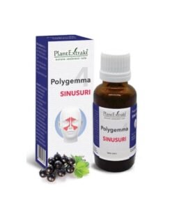 POLYGEMMA nr. 4 sinusuri