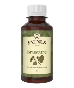 Tinctura Brusture