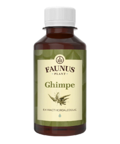 Tinctura Ghimpe