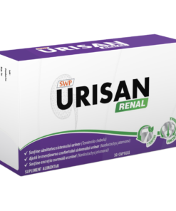 Urisan Renal