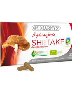 Shiitake
