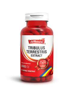 Tribulus Terrestris Extract