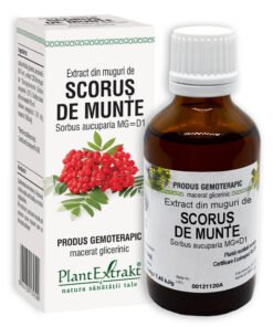 Extract din muguri de Scorus