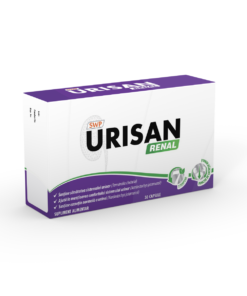 Urisan Renal